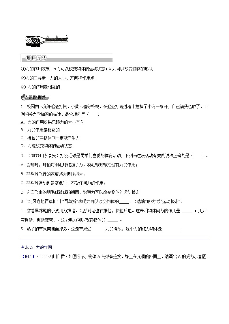 专题07  力【考点精讲】（原卷版）第3页