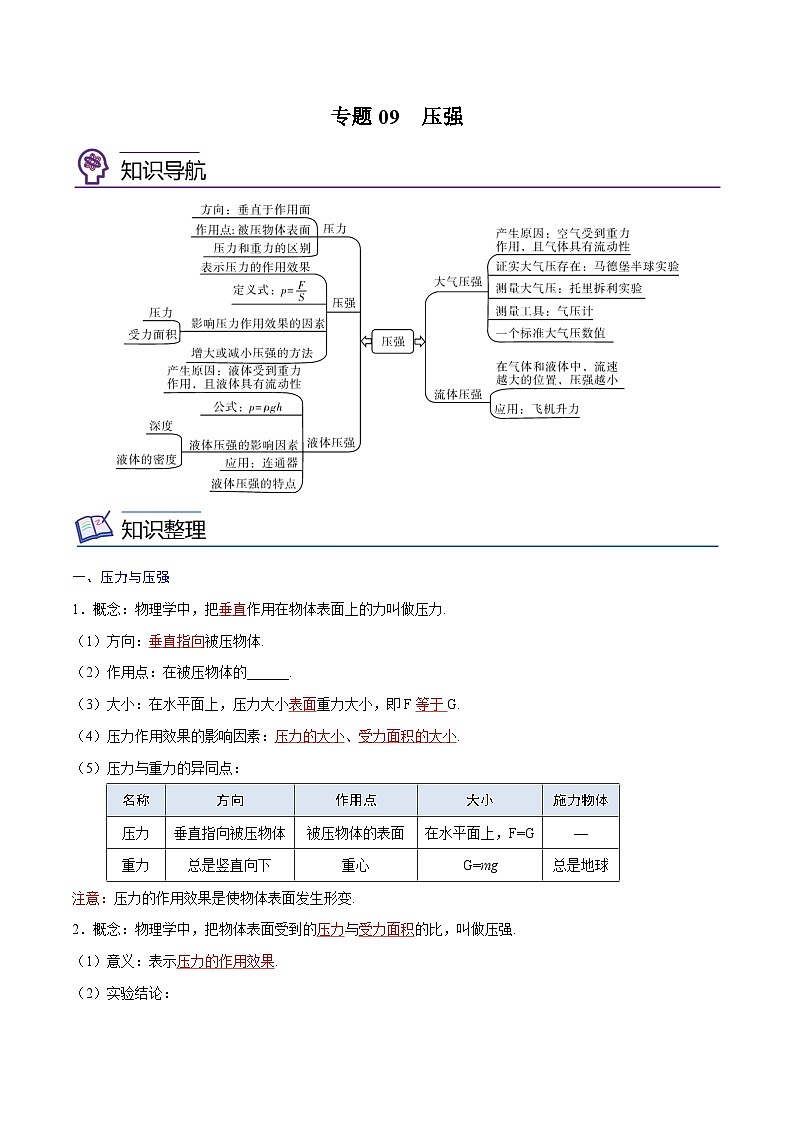 专题09  压强【考点精讲】（解析版）第1页