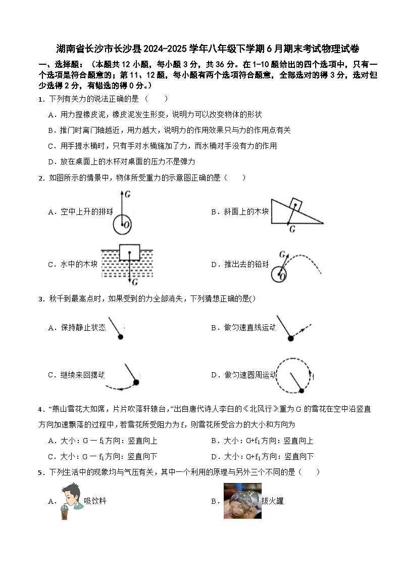 湖南省长沙市长沙县2024-2025学年八年级下学期6月期末考试物理试卷第1页