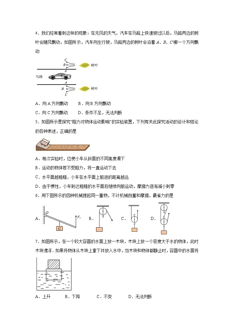湖南省永州市宁远县2024-2025学年八年级下学期期末考试物理试卷第2页