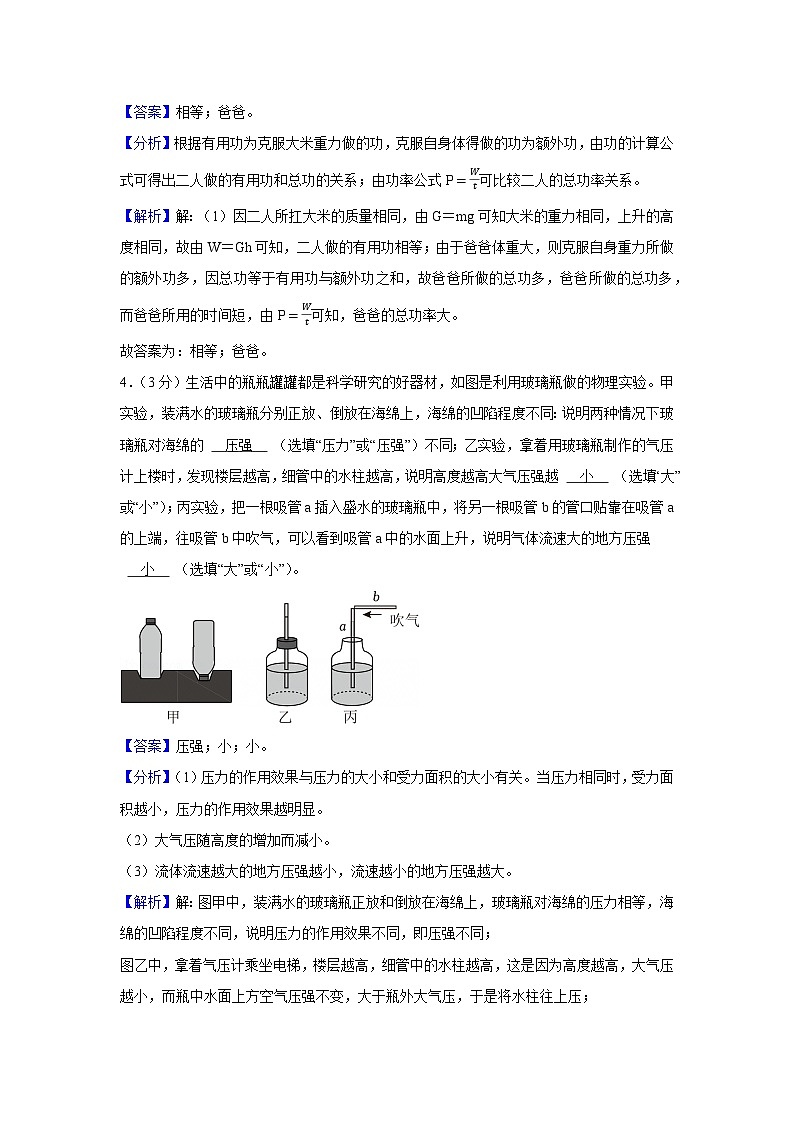 河南省平顶山市2024-2025学年八年级下学期期末物理试卷（解析版）第2页