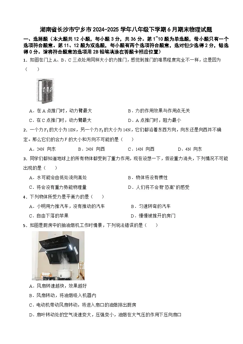 湖南省长沙市宁乡市2024-2025学年八年级下学期6月期末物理试题第1页