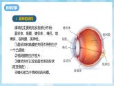人教版（2024）物理八上5.4 《眼睛和眼鏡》課件+教案+分層練習+導學案