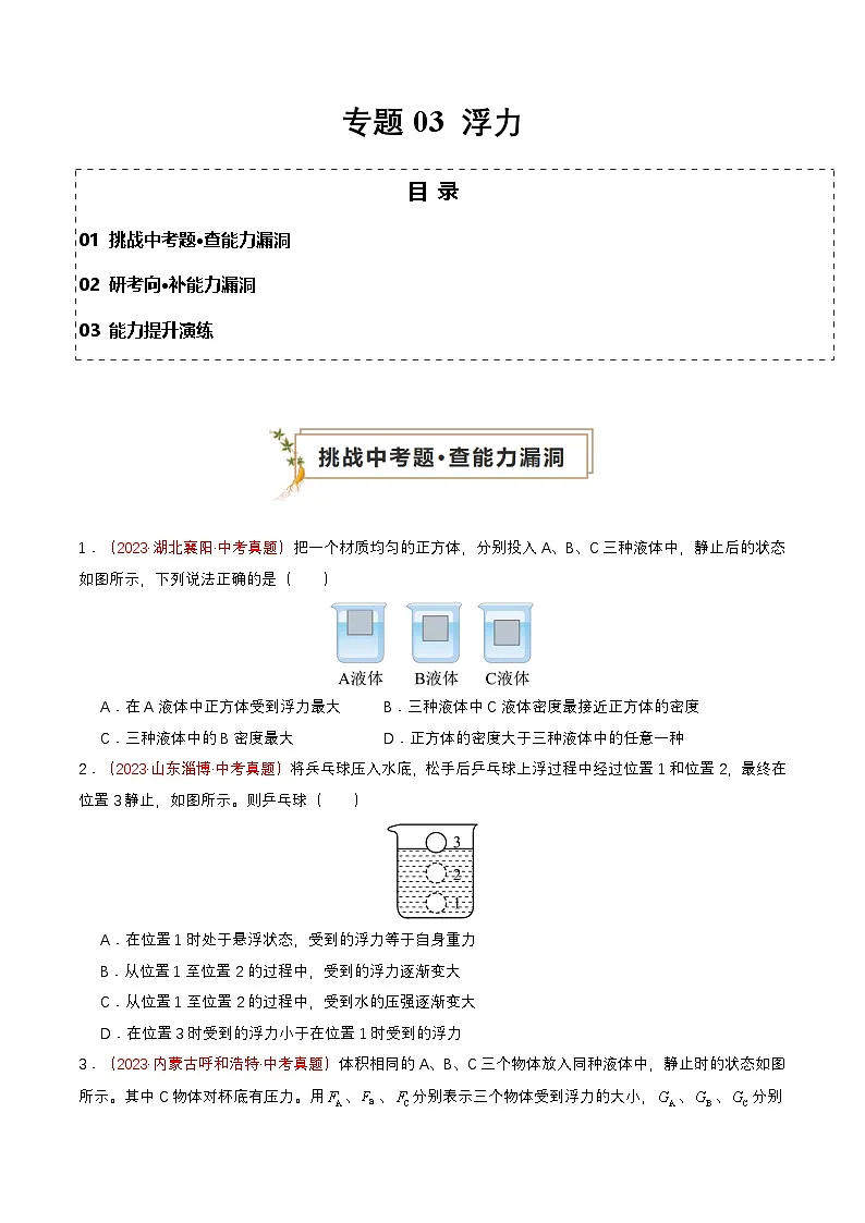 专题03 浮力（查补能力·提升练）（原卷版）第1页