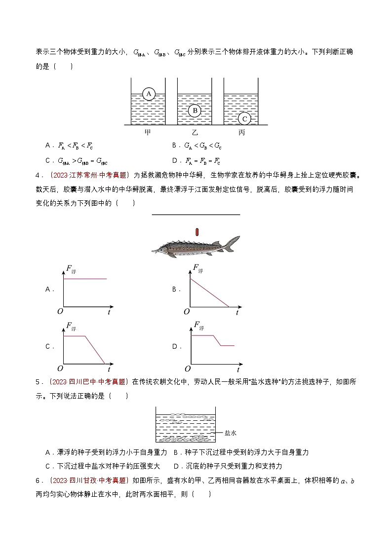 专题03 浮力（查补能力·提升练）（原卷版）第2页