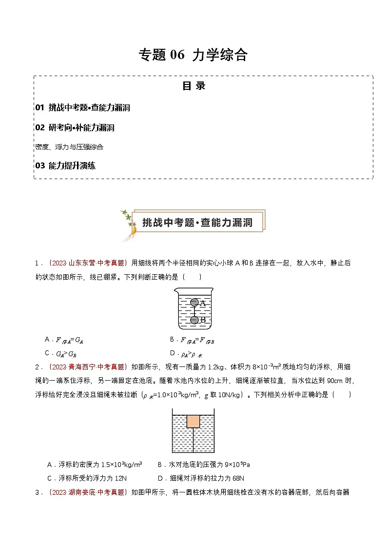 专题06 力学综合（查补能力·提升练）（原卷版）第1页