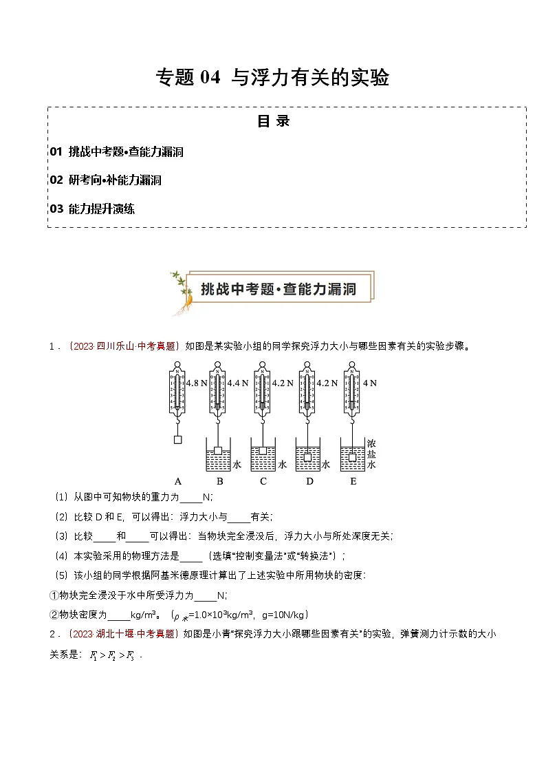 专题04 与浮力有关的实验（查补能力·提升练）（原卷版）第1页