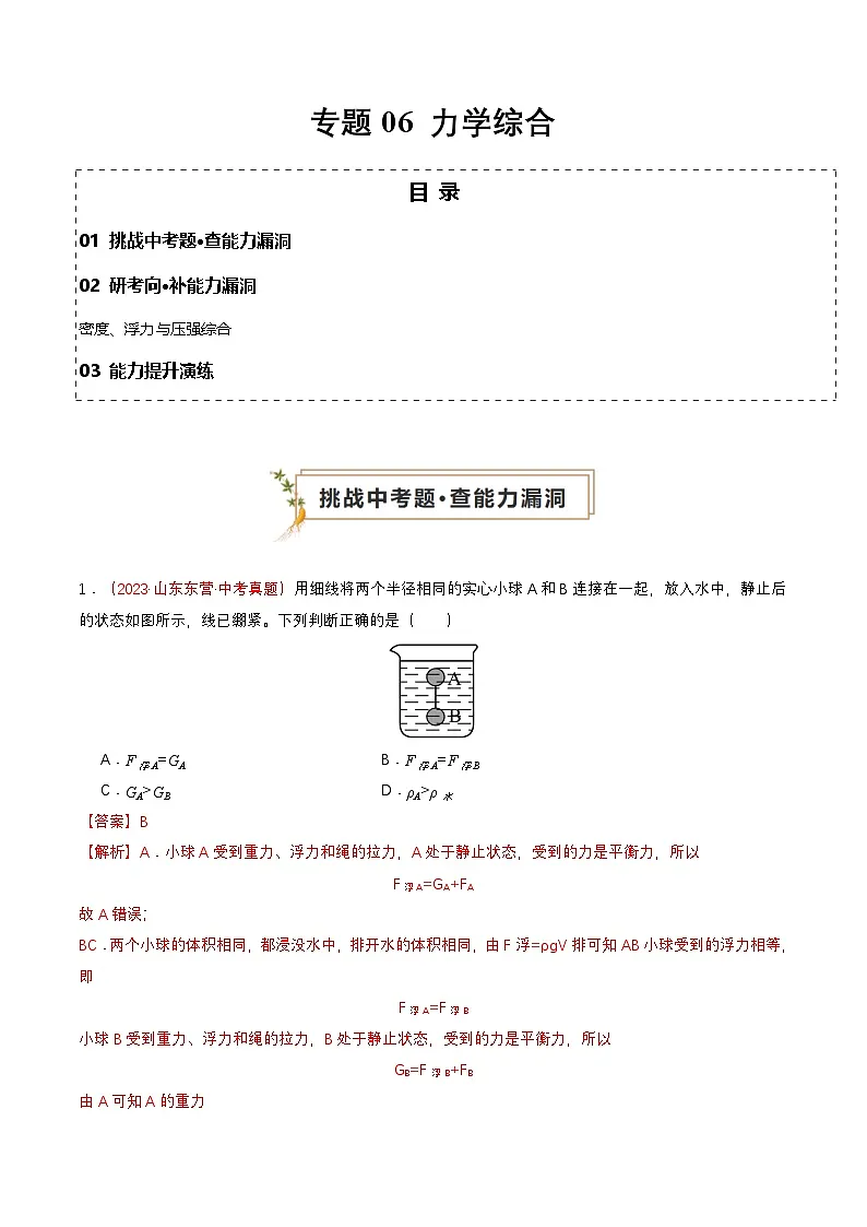 专题06 力学综合（查补能力·提升练）（解析版）第1页
