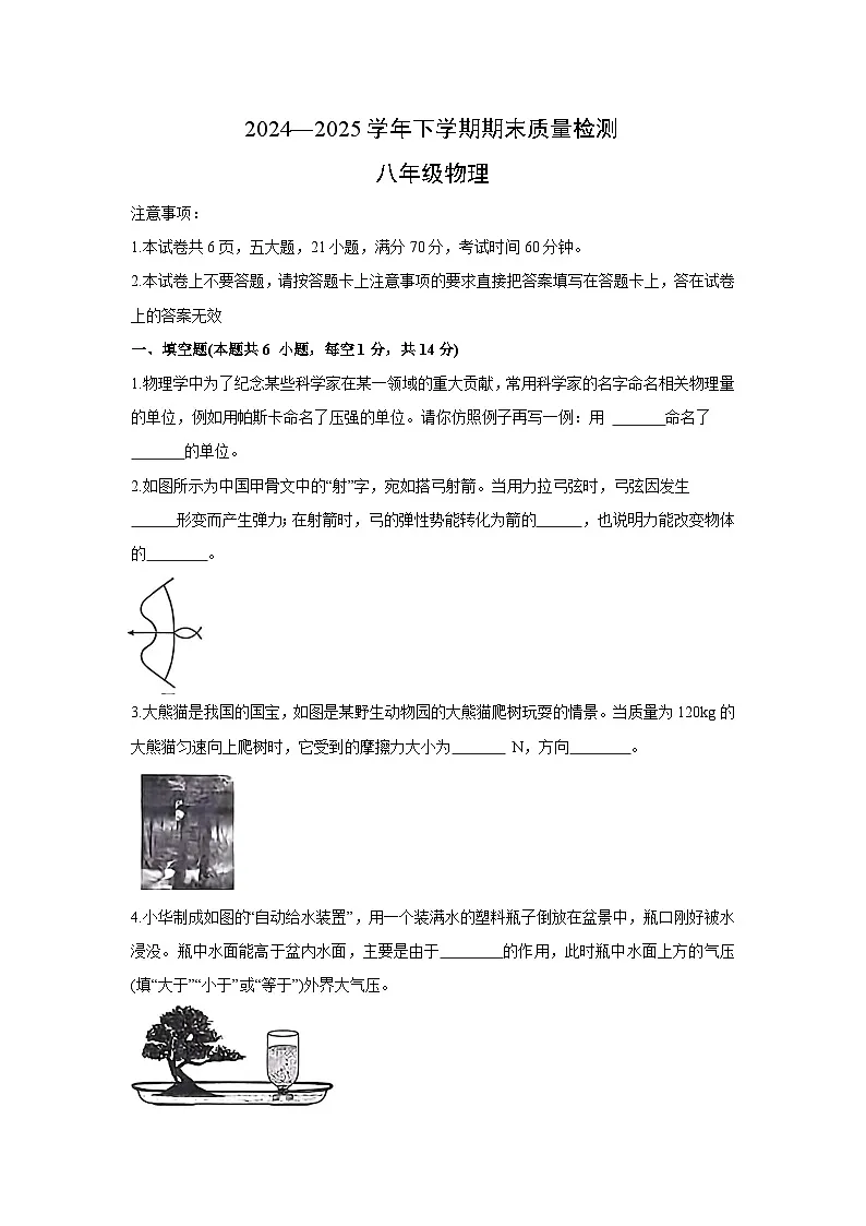 河南省许昌市禹州市2024-2025学年八年级下学期下6月期末真题物理试卷第1页