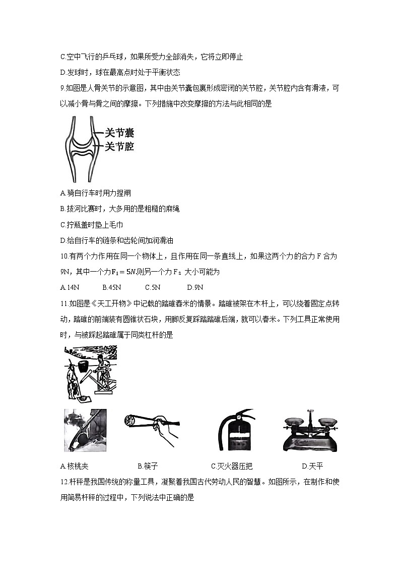 河南省许昌市禹州市2024-2025学年八年级下学期下6月期末真题物理试卷第3页