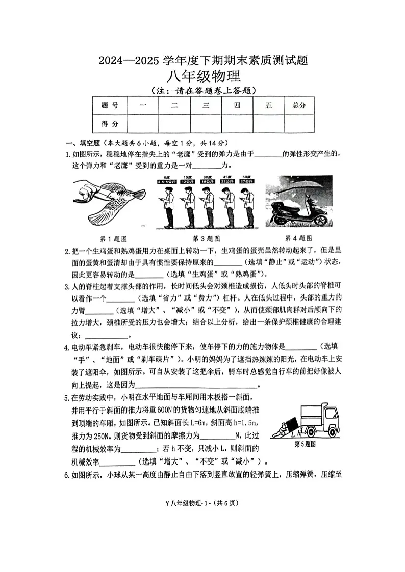 河南省驻马店市泌阳县2024-2025学年八年级下学期下6月期末真题（图片版）物理试卷第1页