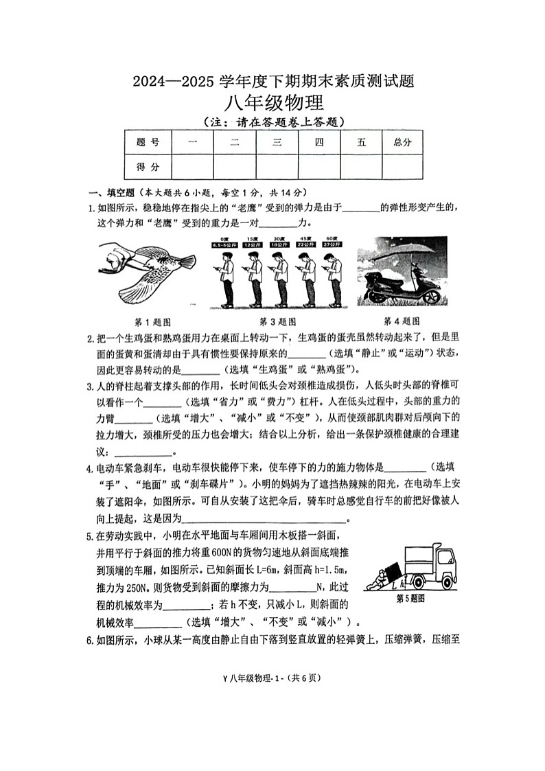 河南省驻马店市泌阳县2024-2025学年八年级下学期下6月期末真题（图片版）物理试卷第1页