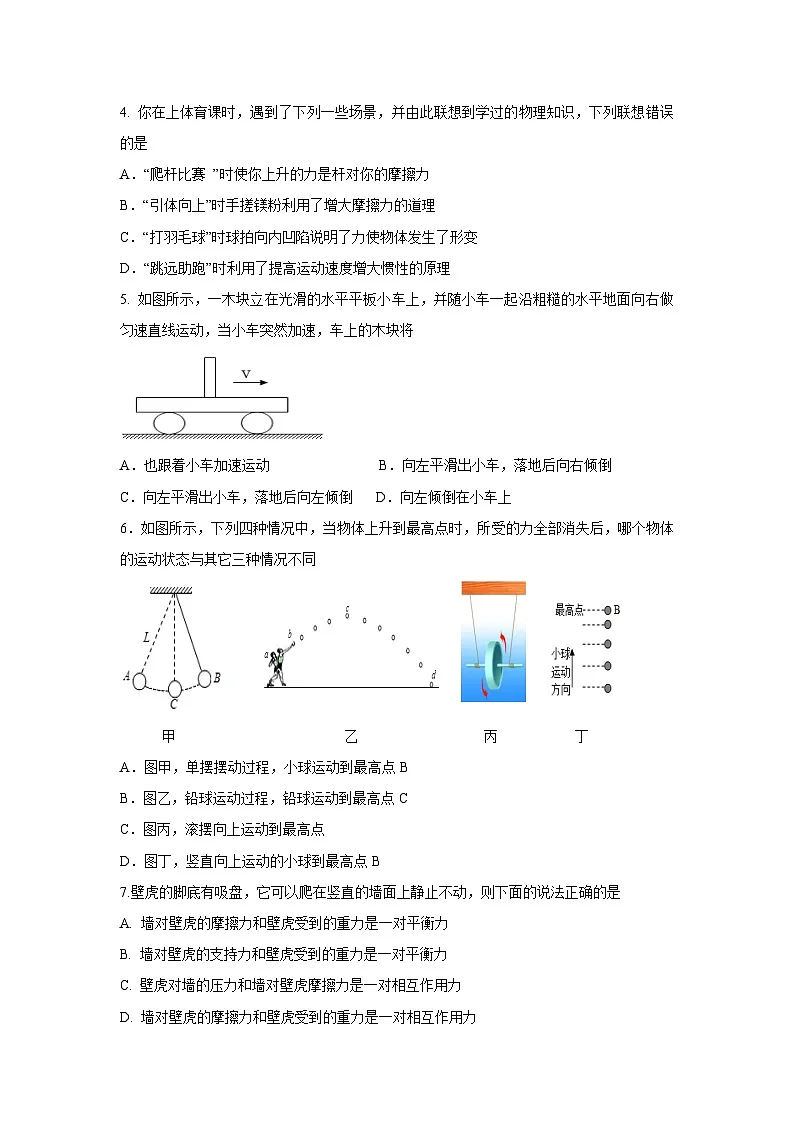 四川省眉山市洪雅县校际联合2024-2025学年八年级下学期下6月期末真题物理试卷第2页