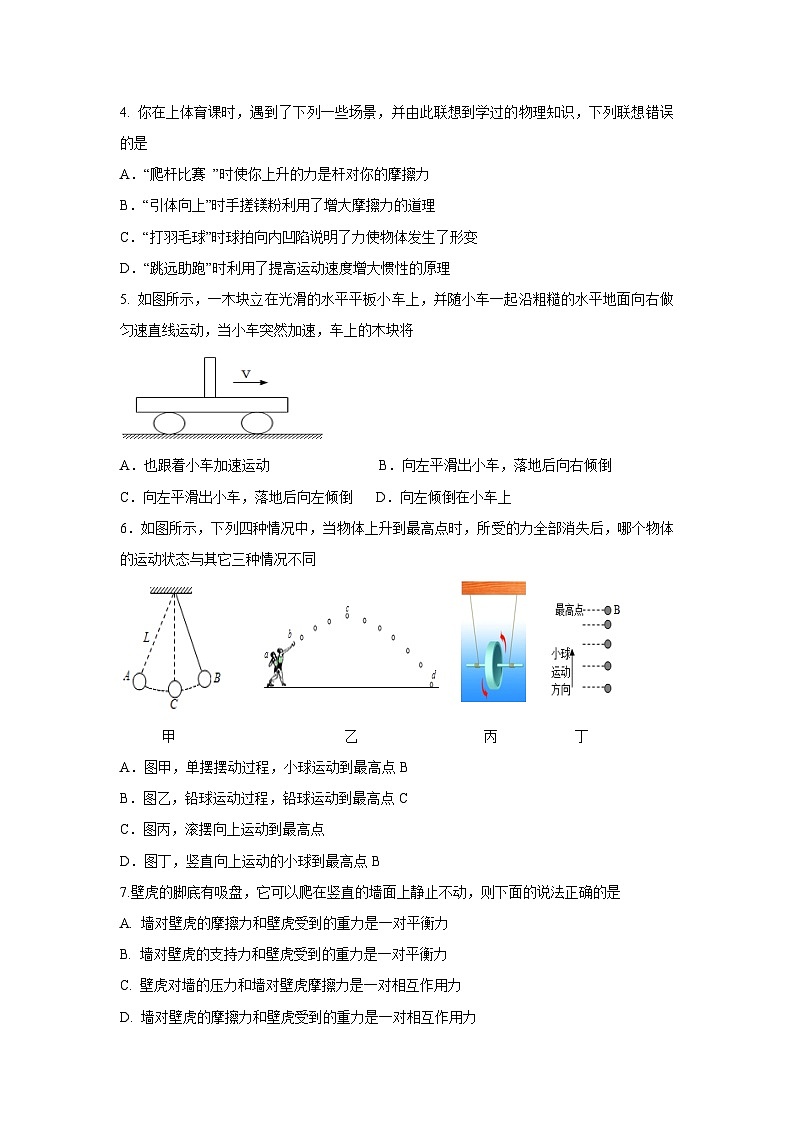 四川省眉山市洪雅县校际联合2024-2025学年八年级下学期下6月期末真题物理试卷第2页