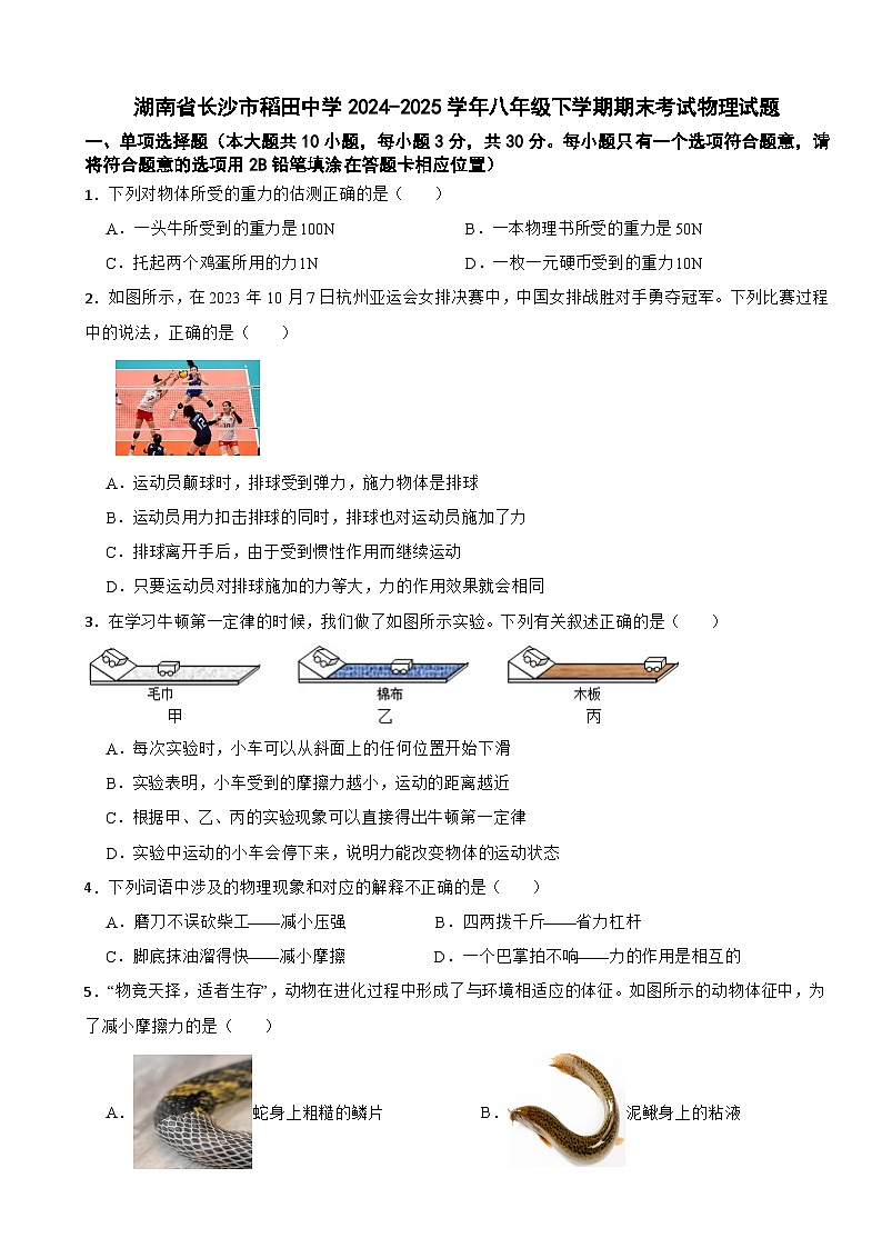 湖南省长沙市稻田中学2024-2025学年八年级下学期期末考试物理试题第1页