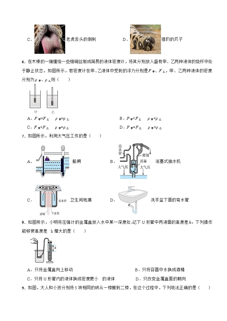 湖南省长沙市稻田中学2024-2025学年八年级下学期期末考试物理试题第2页
