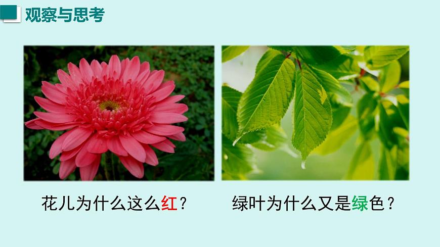 2025年秋沪粤版八年级物理上册 3.1  光的传播与色散（课件）第3页