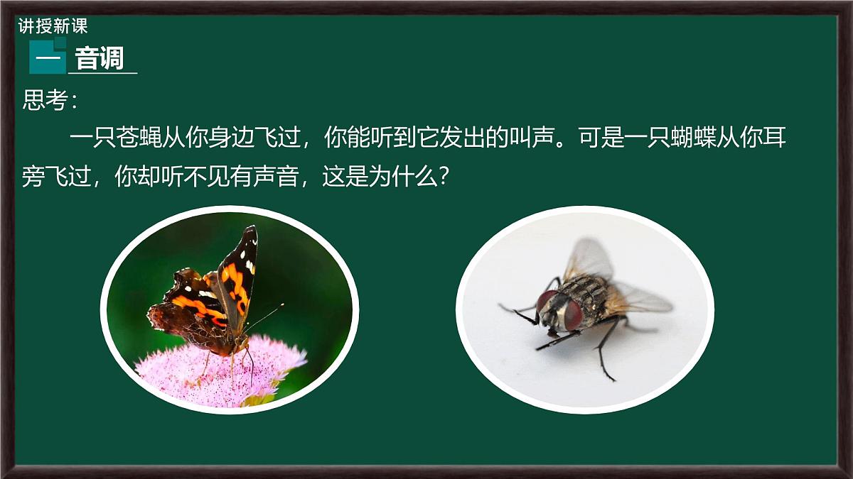 2.2 声音的特性 课件 2025-2026学年物理人教版八年级上册第5页