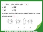 教科版物理九年级上册第7章 磁与电章+第8章 电磁相互作用 检测复习课件（含答案）