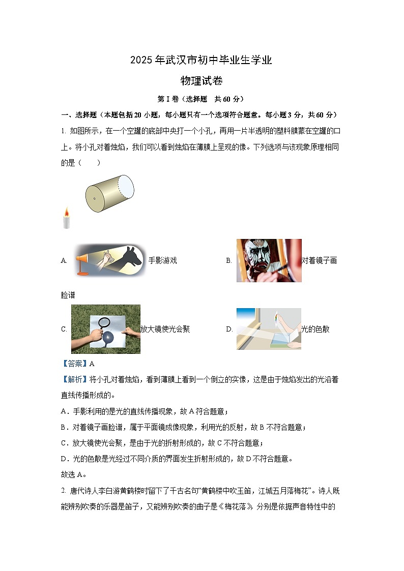 【物理】2025年湖北省武汉市中考模拟试题（解析版）第1页