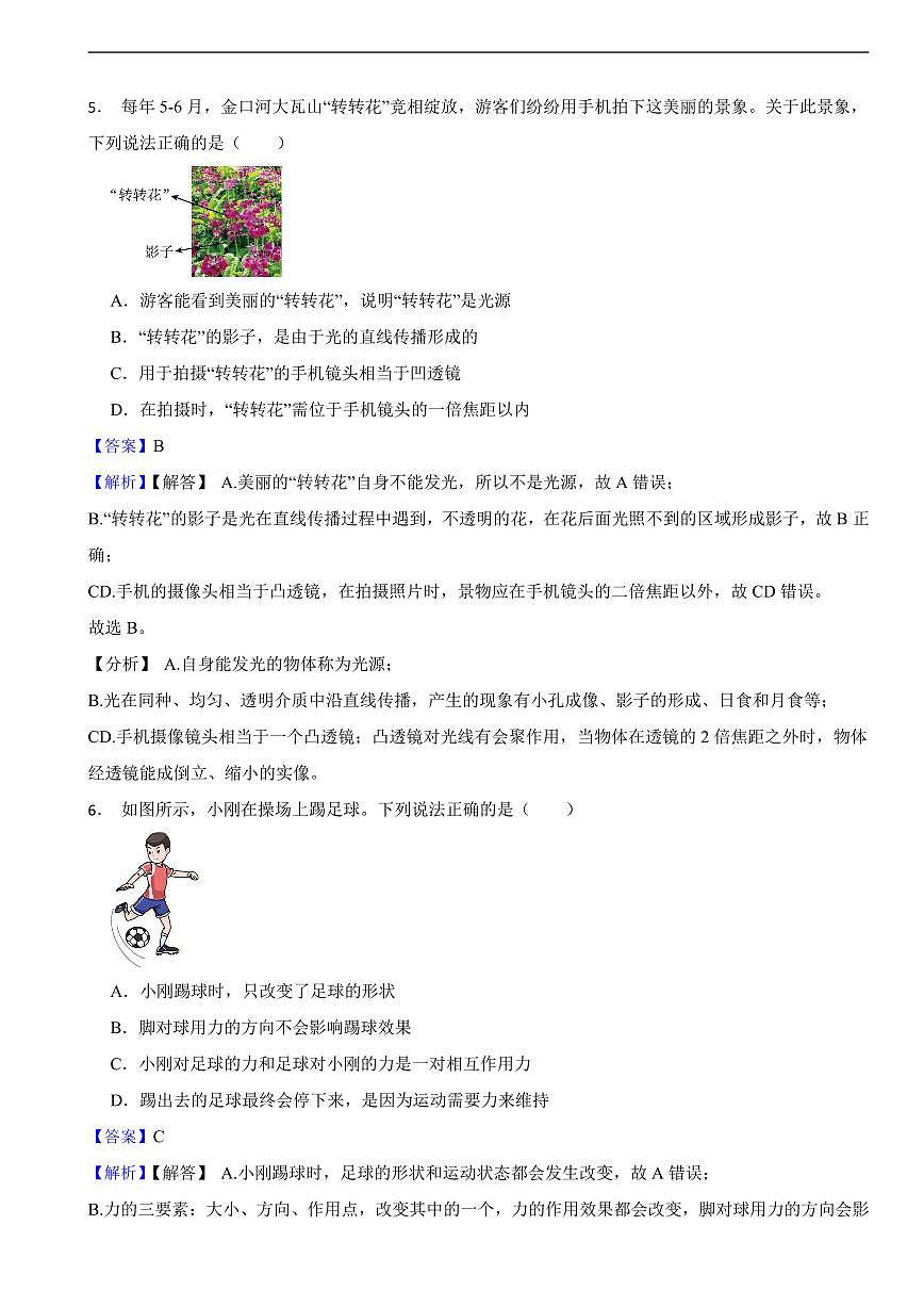 四川省乐山市2025年中考物理真题及同步解析第3页