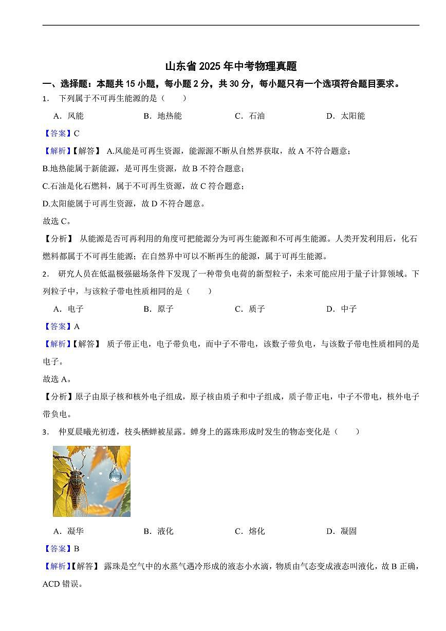 山东省2025年中考物理真题及同步解析第1页