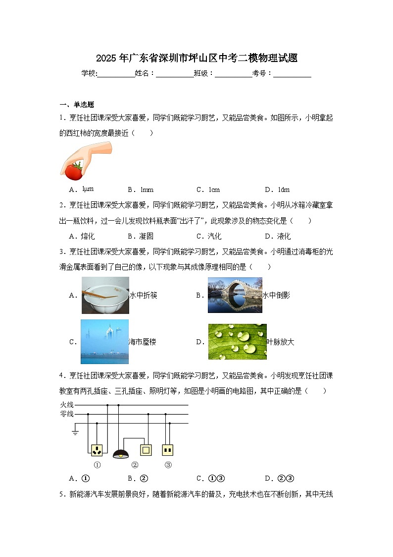 2025年广东省深圳市坪山区中考二模物理试题（附答案解析）第1页