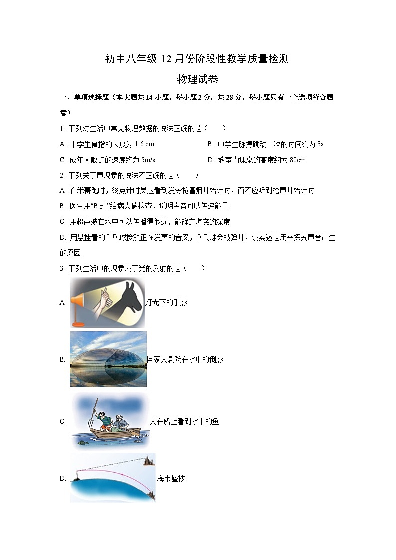 福建省漳州市2024-2025学年八年级上12月月考物理试卷第1页