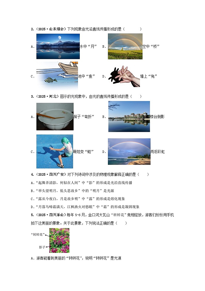 2025年中考物理真题分类汇编：专题02  光现象（全国通用）（第01期）（原卷版）第3页