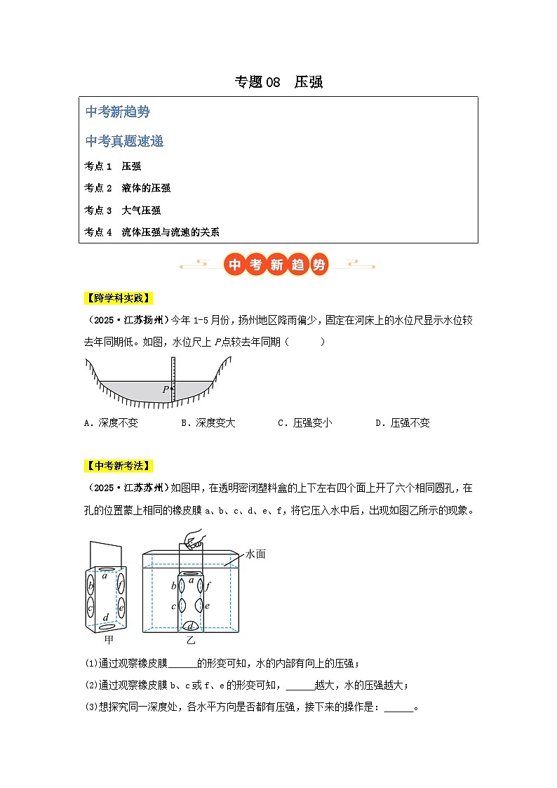 2025年中考物理真题分类汇编：专题08  压强（全国通用）（第01期）（原卷版）第1页