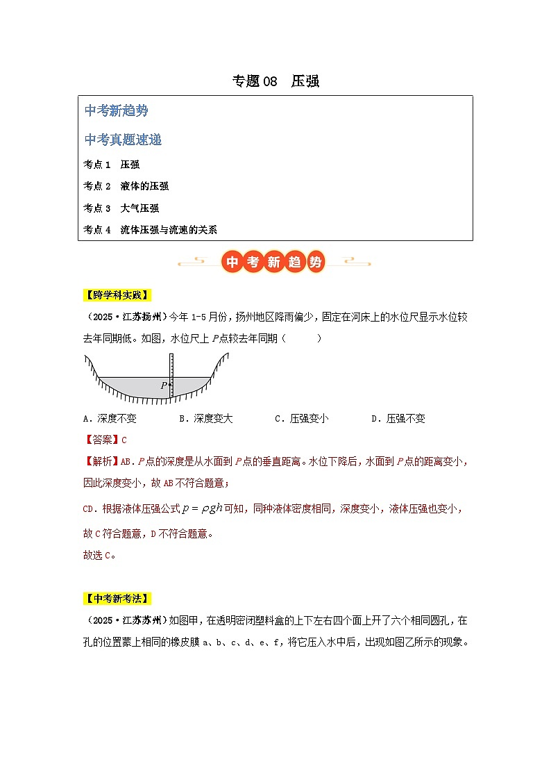 2025年中考物理真题分类汇编：专题08  压强（全国通用）（第01期）（解析版）第1页