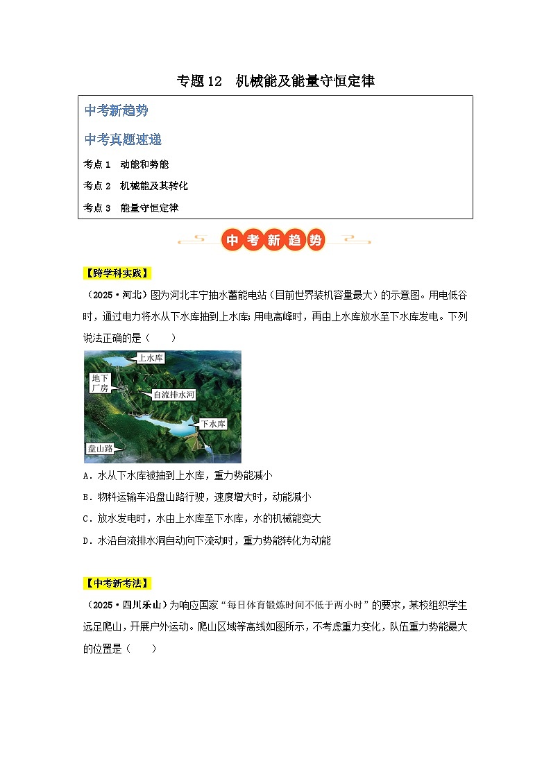 2025年中考物理真题分类汇编：专题12  机械能及能量守恒定律（全国通用）（第01期）（原卷版）第1页