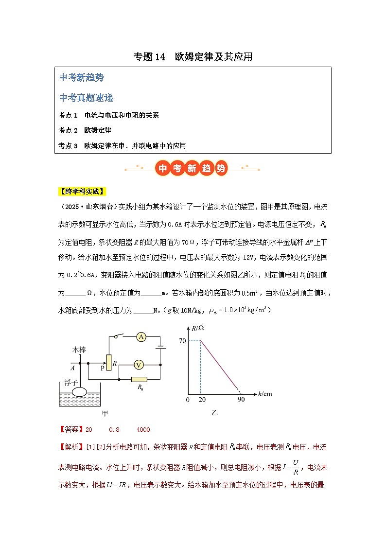 2025年中考物理真题分类汇编：专题14  欧姆定律及其应用（全国通用）（第01期）（解析版）第1页
