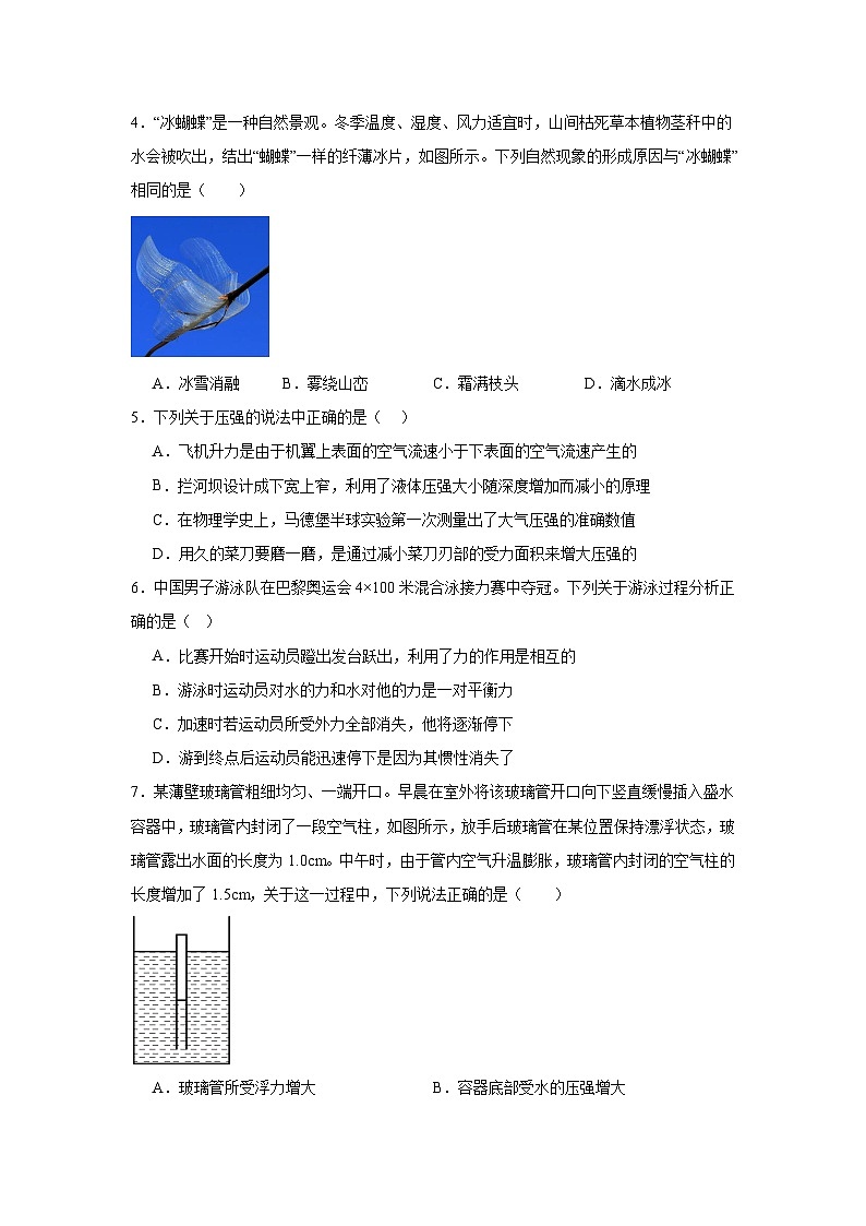 2025年湖南省娄底市新化县中考模拟物理试题（一）（附答案解析）第2页
