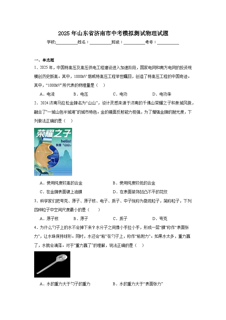 2025年山东省济南市中考模拟测试物理试题（附答案解析）第1页