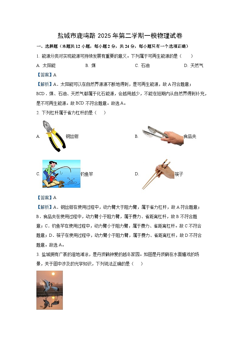 2025年江苏省盐城市中考一模物理试题（解析版）第1页