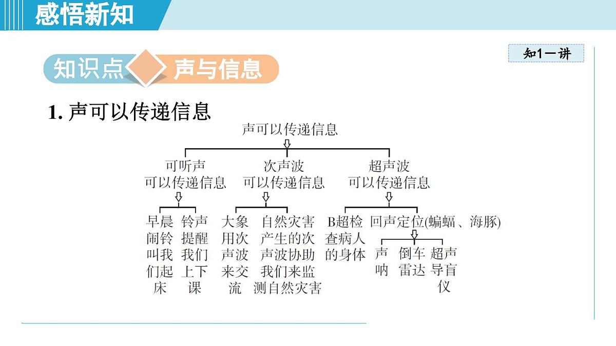 人教版八年级物理上册  2.3声的利用（第二章 声现象  学习、上课课件）第3页