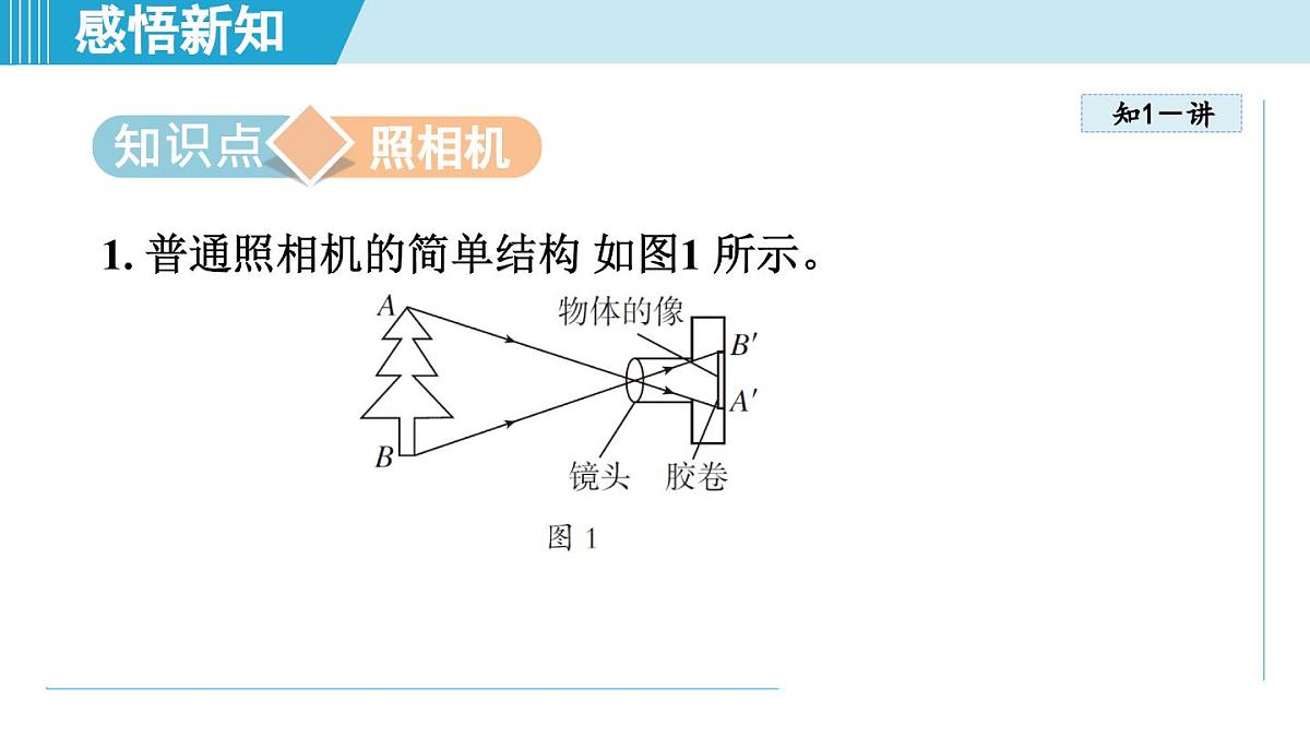 人教版八年级物理上册  5.2生活中的透镜（第五章 透镜及其应用  学习、上课课件）第3页