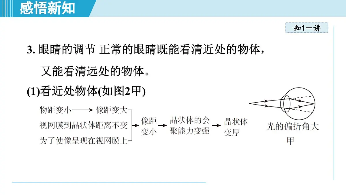 人教版八年级物理上册 5.4眼睛和眼镜（第五章 透镜及其应用 学习、上课课件）第4页