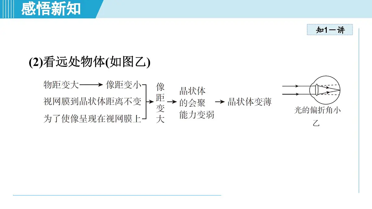 人教版八年级物理上册 5.4眼睛和眼镜（第五章 透镜及其应用 学习、上课课件）第5页