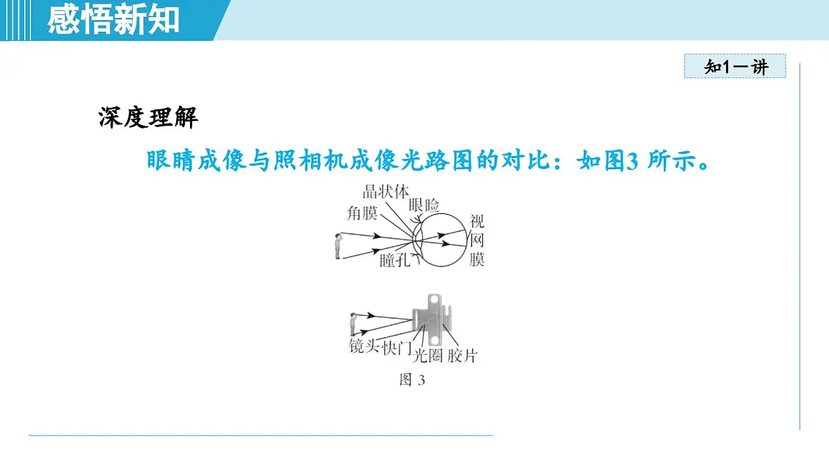 人教版八年级物理上册 5.4眼睛和眼镜（第五章 透镜及其应用 学习、上课课件）第8页