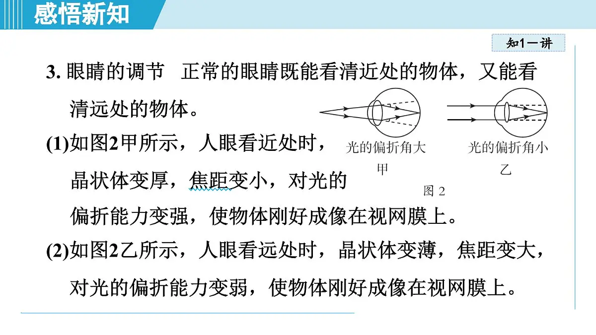 北师版八年级物理上册 第四节 爱眼宣传公益行（第五章 透镜及其应用 学习、上课课件）第4页