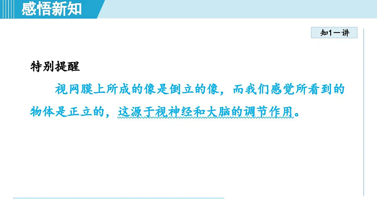 北师版八年级物理上册 第四节 爱眼宣传公益行（第五章 透镜及其应用 学习、上课课件）第8页