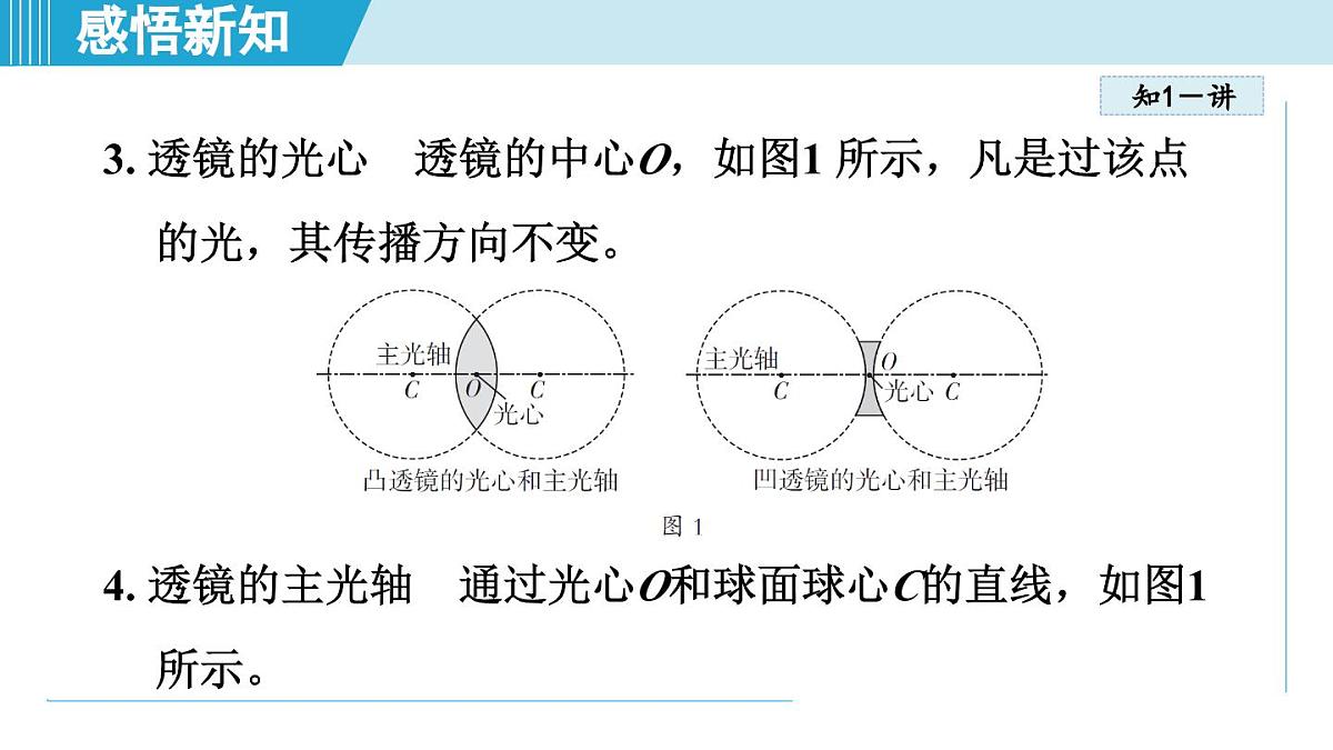 沪粤版八年级物理上册 3.5 奇妙的透镜（第三章 光和眼睛 学习、上课课件）第4页
