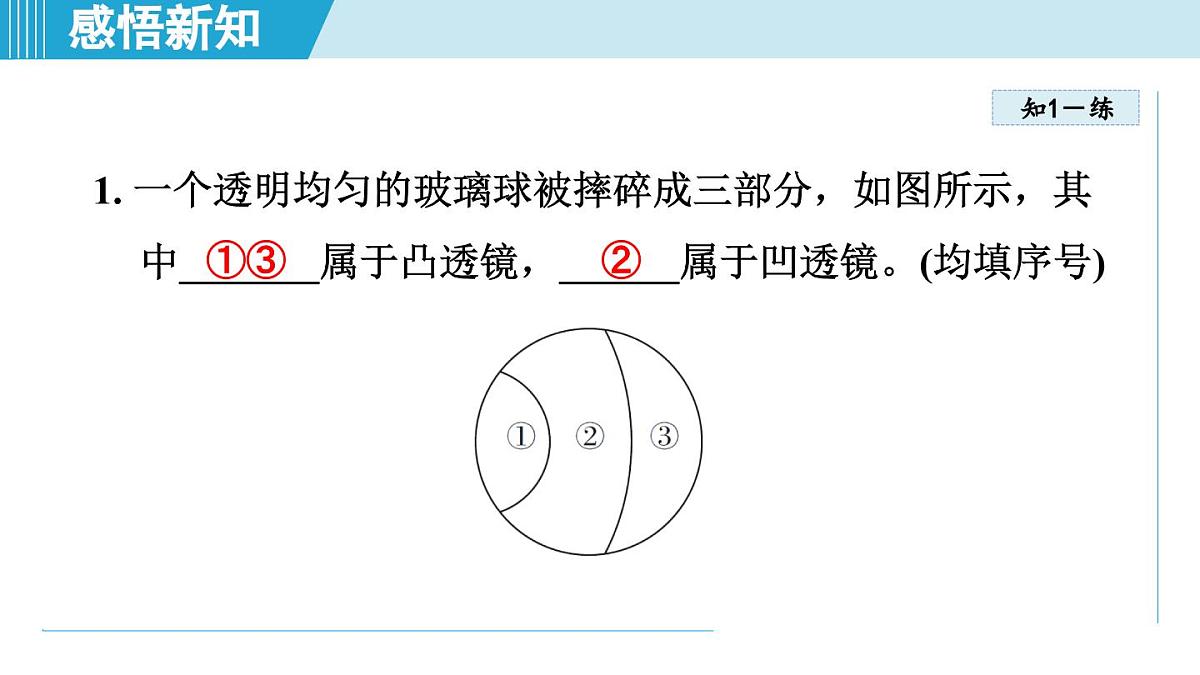 沪粤版八年级物理上册 3.5 奇妙的透镜（第三章 光和眼睛 学习、上课课件）第8页