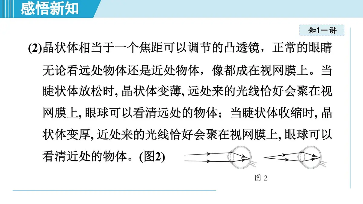 沪粤版八年级物理上册 3.7 眼睛与光学仪器（第三章 光和眼睛 学习、上课课件）第4页