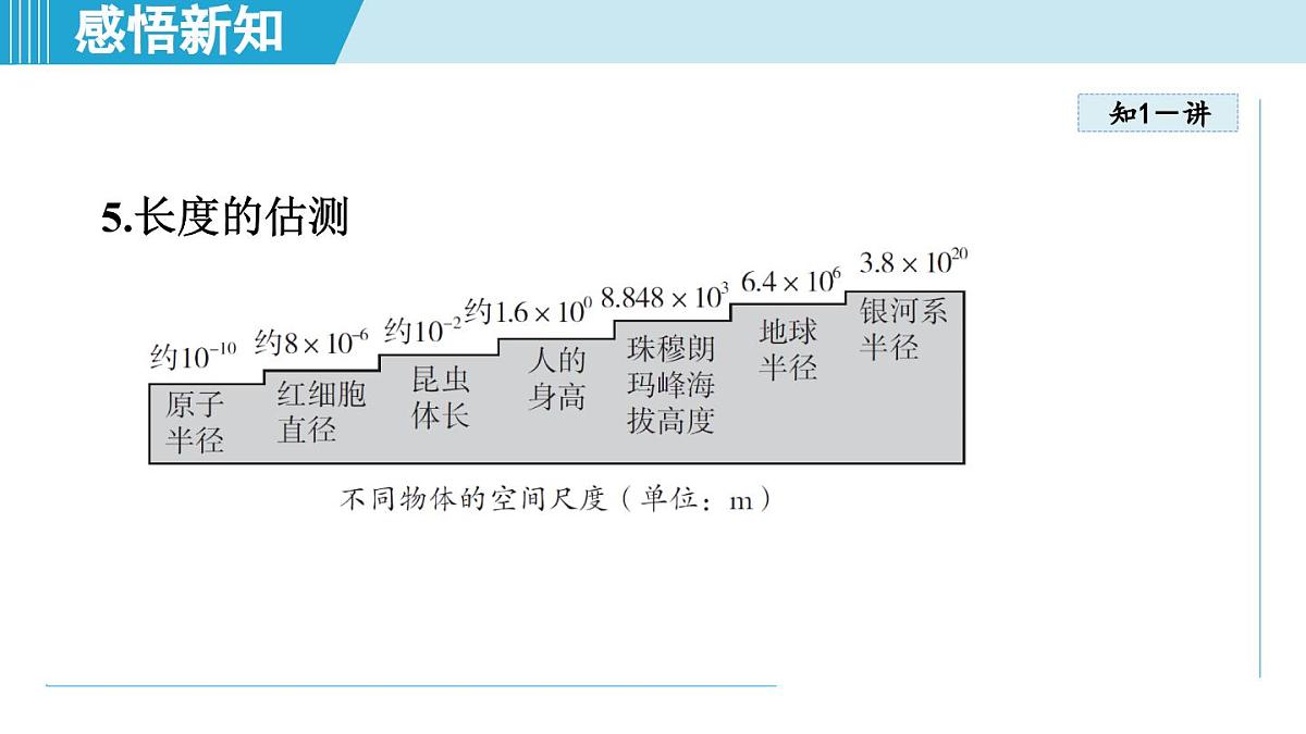 教科版八年级物理上册  1.2测量：实验探究的基础（第1章 走进实验室  学习、上课课件）第5页