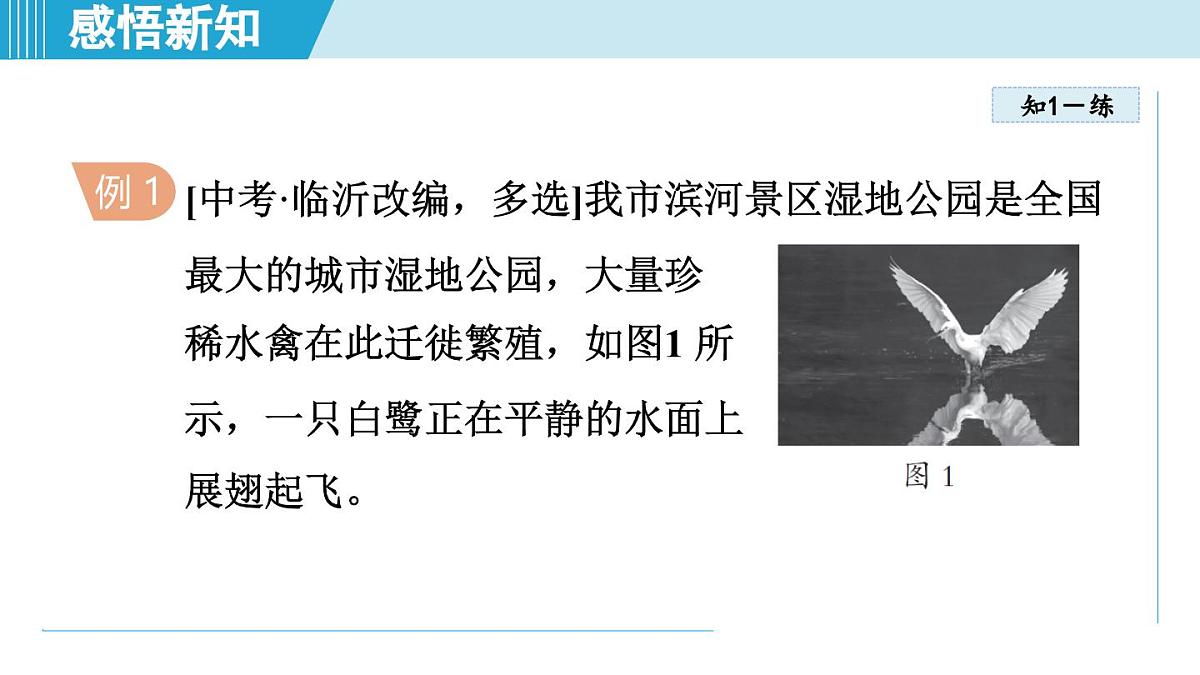 教科版八年级物理上册  4.3平面镜成像（第4章 光的世界  学习、上课课件）第8页