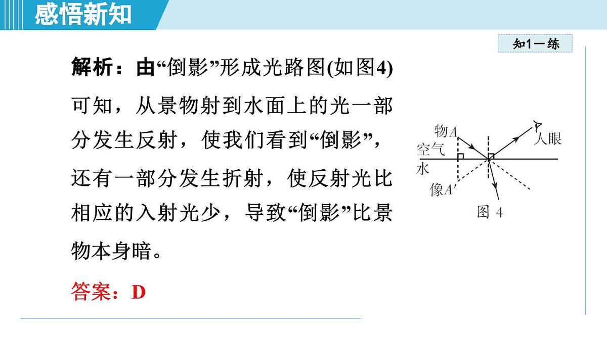 教科版八年级物理上册  4.4光的折射（第4章 光的世界  学习、上课课件）第7页