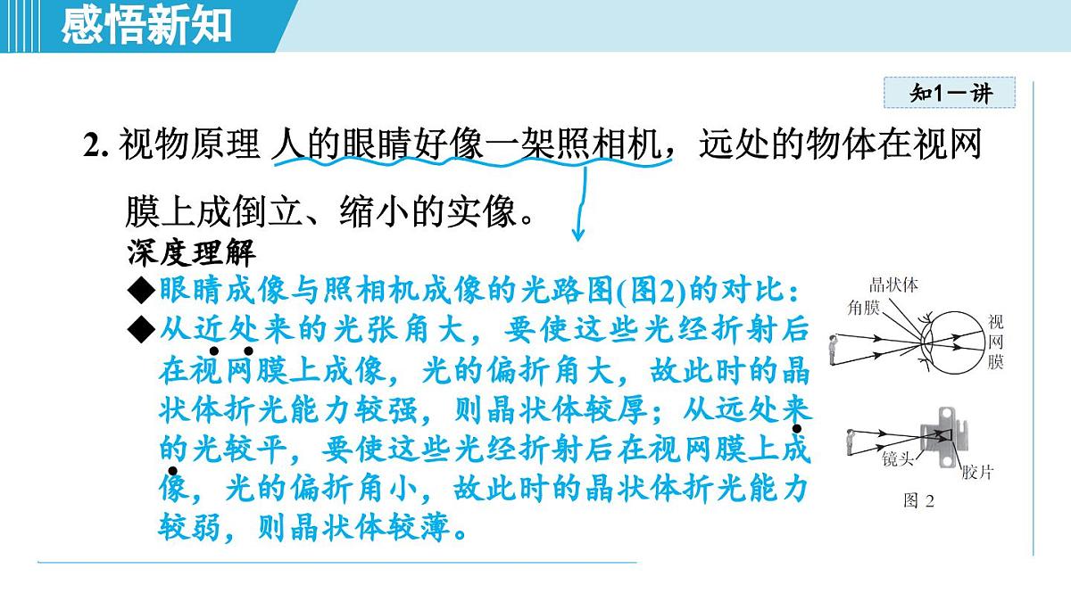 教科版八年级物理上册  4.6跨学科实践：眼睛（第4章 光的世界  学习、上课课件）第3页